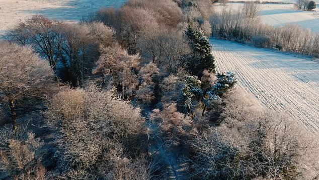 The release has come at an unfortunate time as Britain reels from the impact of Storm Goretti, which has brought snow, ice and 100mph winds