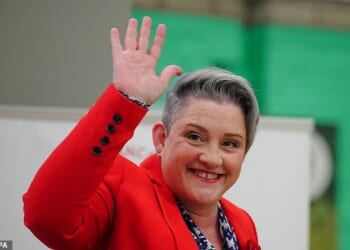 Ashley Dalton, a Labour health minister, said non-alcoholic products were distinct from soft drinks because they are 'intentionally crafted' to mimic 'traditional alcoholic drinks like beer, wine or spirits'