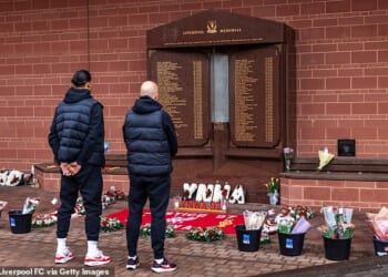 The Hillsborough Law, known officially as the Public Office (Accountability) Bill, was meant to prevent institutional coverups following the 1989 Hillsborough disaster when 97 Liverpool fans died