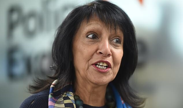 Baroness Falkner backed the new report and warned the new 'anti-Muslim hostility' proposals being considered by Labour could lead to a 'thought control problem'