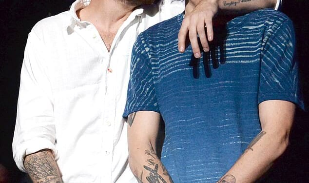 Louis Tomlinson has penned a heartbreaking tribute to his former One Direction bandmate Liam Payne in a poignant song on his new album (pictured in 2015)