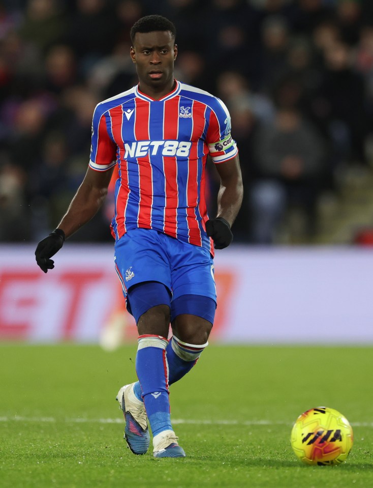 Crystal Palace v Aston Villa - Premier League