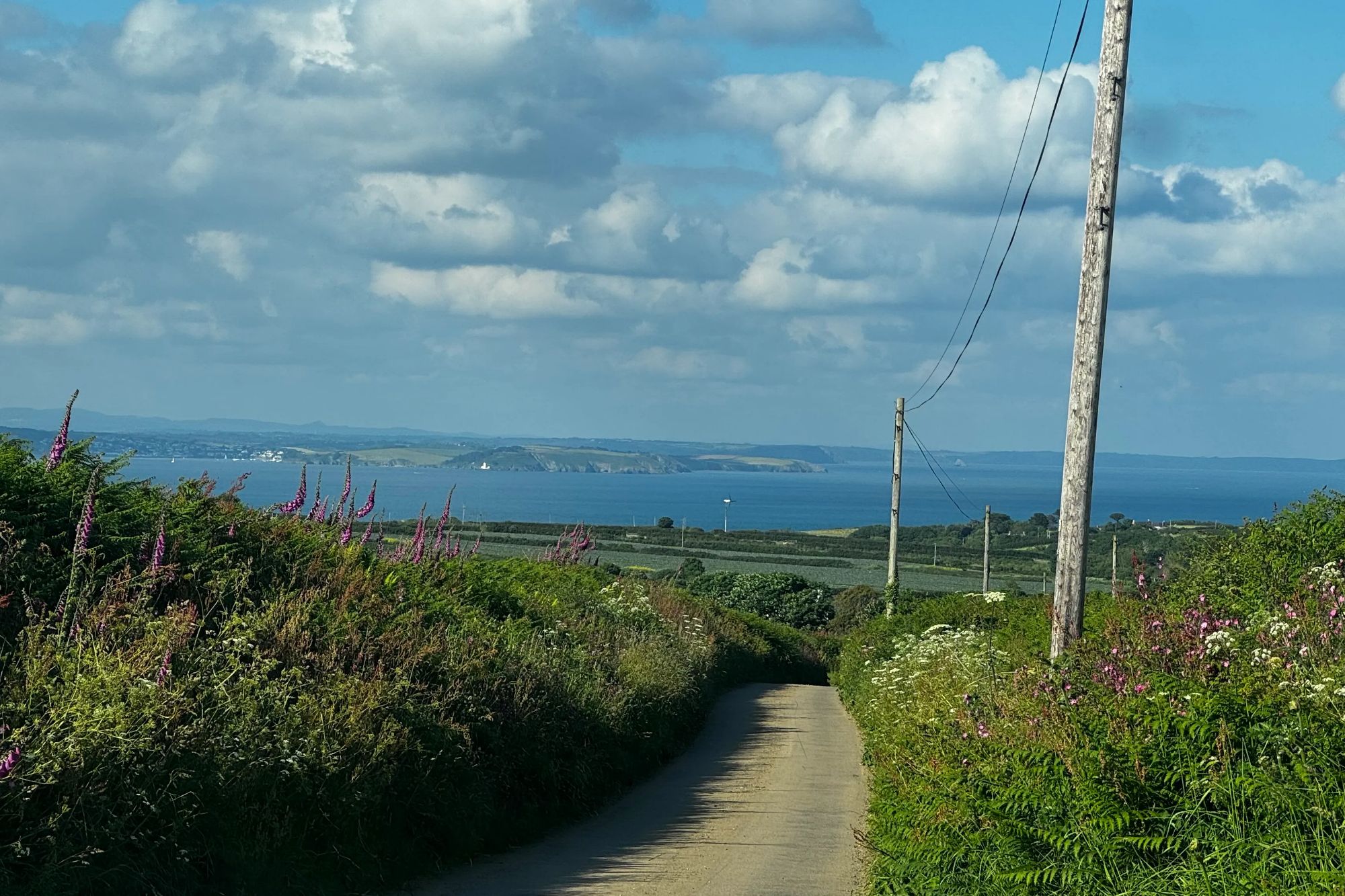 An image collage containing 1 images, Image 1 shows A scenic view of the sea from a narrow road lined with green plants and purple flowers, under a blue sky with white clouds