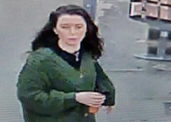 Man sexually assaulted by woman as she walked past his seat on a train- as cops release CCTV