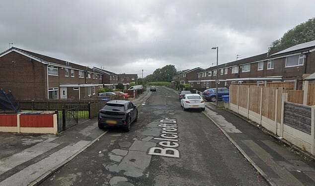 The man entered the pensioner's home in the Little Hulton area of Salford, Greater Manchester, yesterday morning after he offered to clean her windows