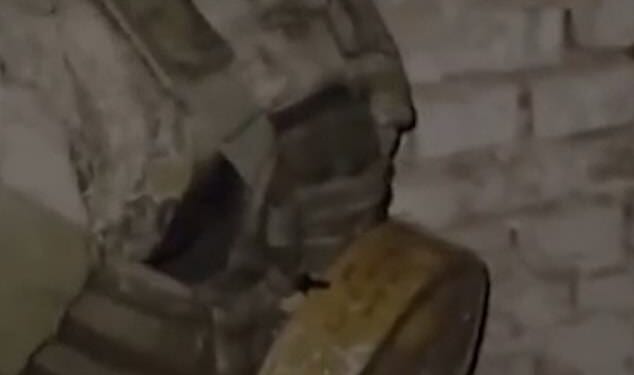 Footage widely circulated on social media appears to show a black mercenary with a landmine strapped to his chest being forced to act as a 'human bomb' by a Russian soldier amid claims Putin is using African troops as 'meat for the meat grinder' in the Ukraine war