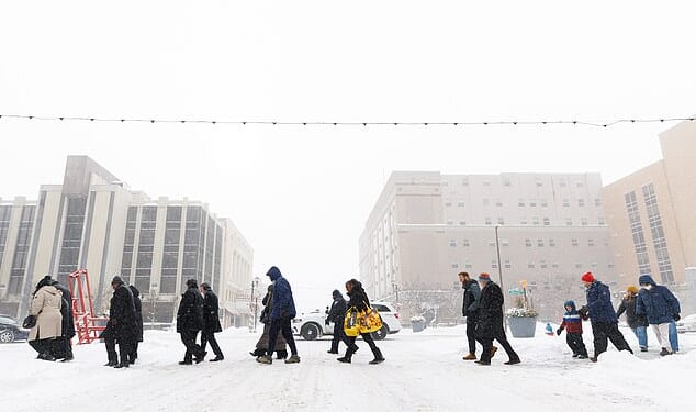 Meteorologist's dire warning as arctic bomb to blast up to 20 INCHES of snow across bulk of America: 'Plan for days without power'