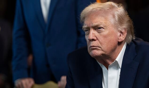 President Donald Trump should be allowed to strike other countries at his discretion, the House Judiciary and Foreign Affairs chairmen told the Daily Mail