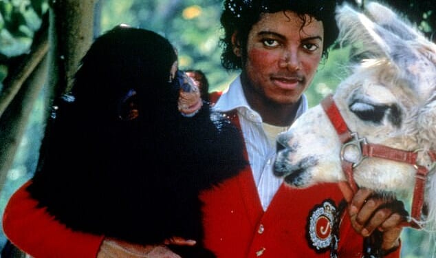 Michael Jackson got Bubbles in the 1980s and featured him in music videos