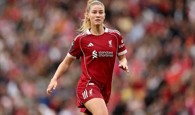 A man has been handed a two-year restraining order for stalking stalking Liverpool Women’s player Marie Hobinger