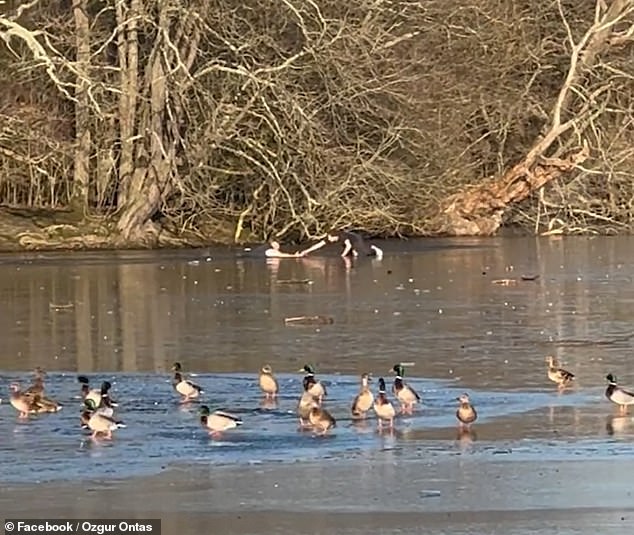 The man is rescued by a passer-by at Connaught Water in Epping Forest, Essex, on Sunday