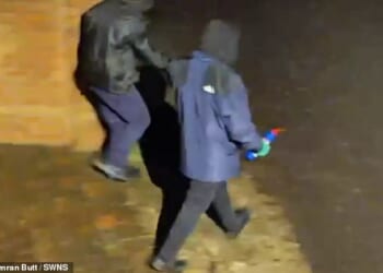 CCTV footage caught two hooded men holding the pig's head and bleach as they walked towards the gates of the family home