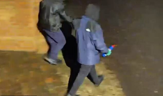 CCTV footage caught two hooded men holding the pig's head and bleach as they walked towards the gates of the family home