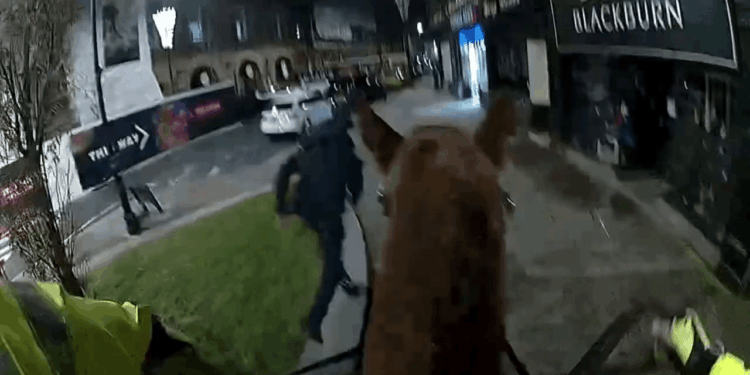 Moment police horse chases down wanted criminal through town centre high street