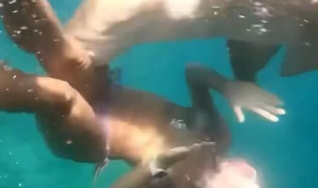 The footage shows several sharks swimming around the woman before a nurse shark suddenly bites her leg