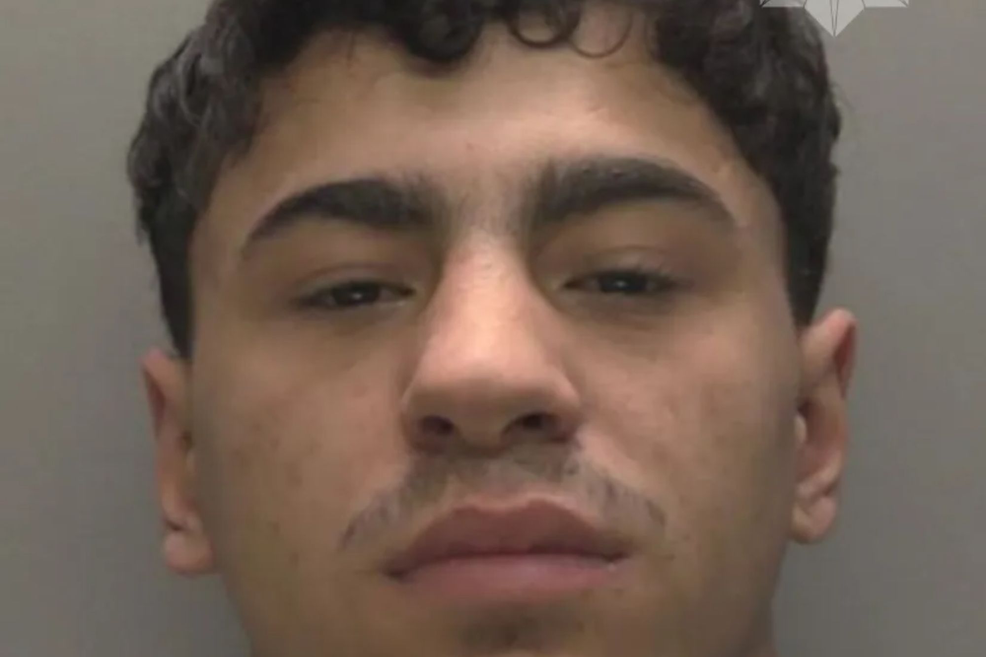 An image collage containing 1 images, Image 1 shows Mugshot of Stefan Marin, 19, who was jailed for 16 years for child destruction