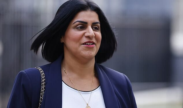 Shabana Mahmood said immigration raids were at a historic high