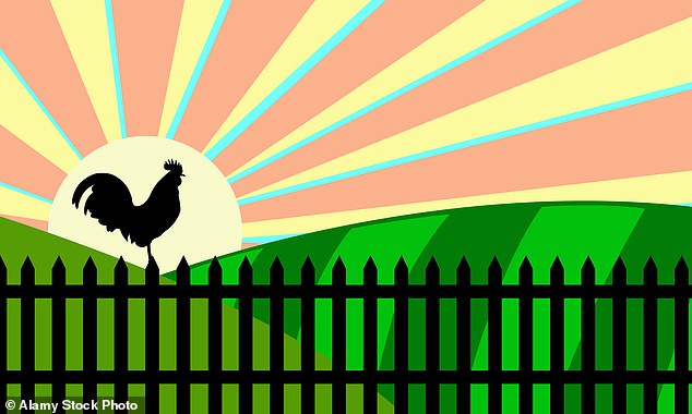 Rob gets up at 5:30am – but you don't have to get up this early. What is key is aiming to wake up after seven to eight hours' sleep at the same time every day