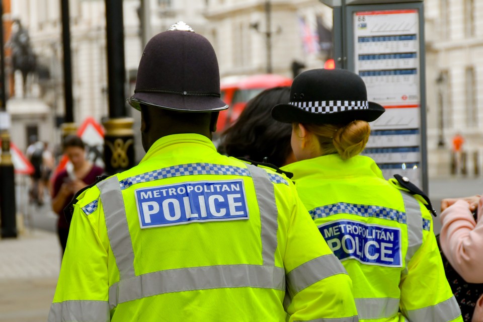 Two Metropolitan Police officers walking with their backs to the viewer.