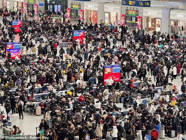 The 40-day Lunar New Year travel season, known as chunyun, begins on February 2 this year and runs until March 13. Pictured: Huge crowds travelling in Shanghai, China, during the Spring Festival travel rush last year
