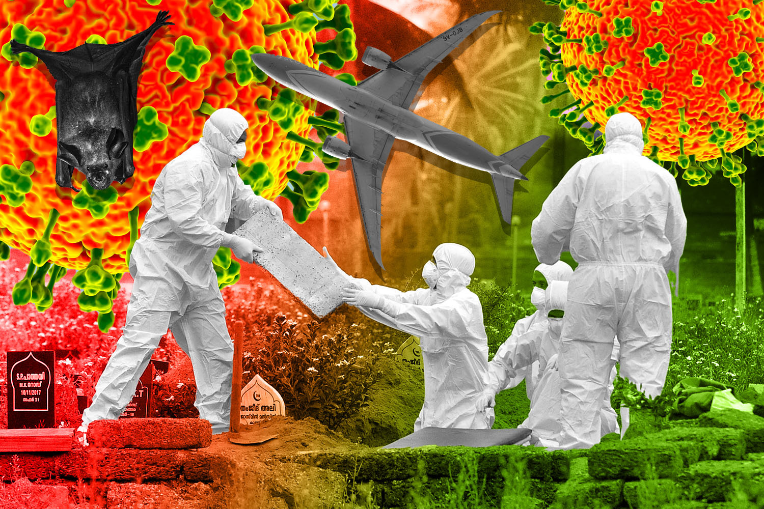 Collage illustrating the global spread and impact of viruses, showing a bat, an airplane, people in hazmat suits burying bodies, and magnified virus particles, all against a gradient background.