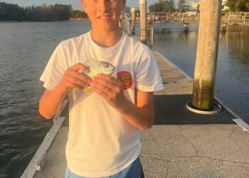 Nico Antic: Heartbreaking update on young boy who was mauled by a shark