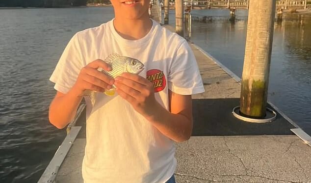 Nico Antic: Heartbreaking update on young boy who was mauled by a shark