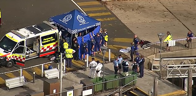 Nico Antic was jumping into Sydney Harbour with friends when a shark attacked