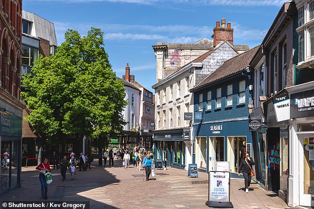 Norwich, pictured during the cheerier, summer months, is the most depressed city in the UK