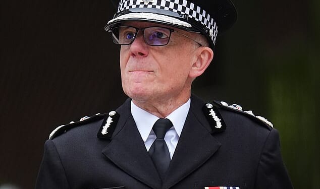 Mike Rowley (pictured): Our current policing model was built for the 1960s and has been stretched beyond what it can support