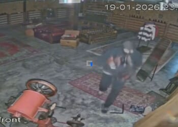 Pair of bumbling teen thieves robbed designer footwear store and only nicked 100 right foot shoes