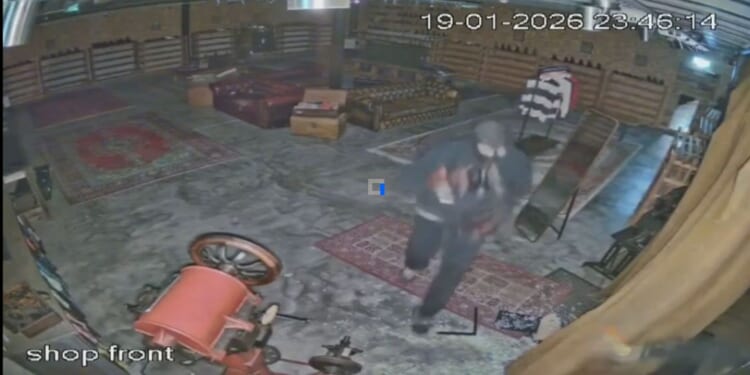 Pair of bumbling teen thieves robbed designer footwear store and only nicked 100 right foot shoes