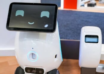 Pet owners in the US could soon get help from a robot 'butler' who feeds and plays with fur babies while you work