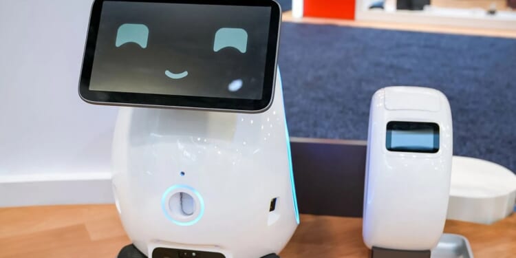 Pet owners in the US could soon get help from a robot 'butler' who feeds and plays with fur babies while you work