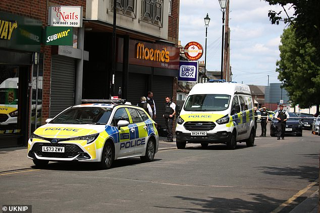 In October, Scotland Yard installed fixed cameras on lamp posts at the entrance and exit to Croydon town centre after the town was designated a 'crime hotspot' (File image of police in Croydon)