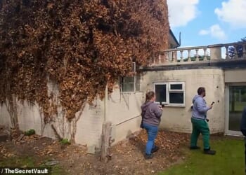 At least two incidents are thought to have taken place at Sir Bruce's former Surrey home in just the last month