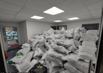 Police have seized a 'record-breaking' £24million haul of cannabis after raiding a rural farm