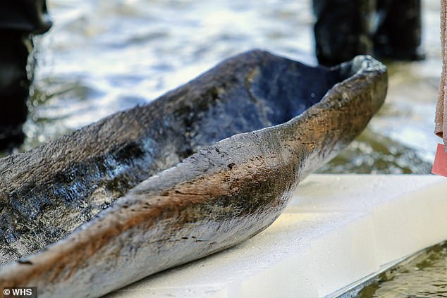 A new excavation of the Wisconsin lake discovered six previously unseen canoes, including one that is believed to be older than the Egyptian pyramids