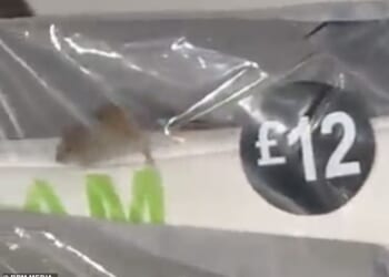 A Primark shopper was stunned to spot a tiny mouse scurrying around inside packaging
