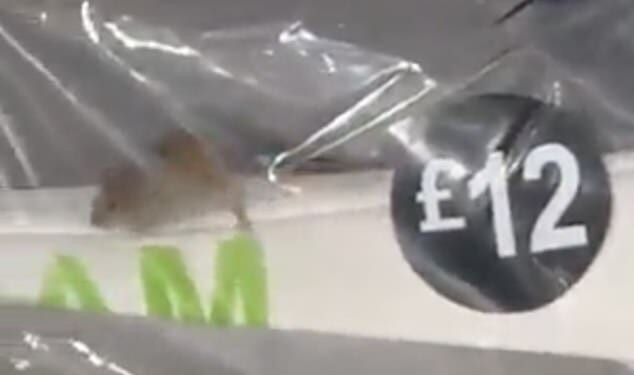 A Primark shopper was stunned to spot a tiny mouse scurrying around inside packaging