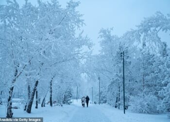A view of ice-covered trees and infrastructure after a prolonged period of freezing temperatures of -40 degrees Celsius in the Siberian city of Krasnoyarsk, Russia