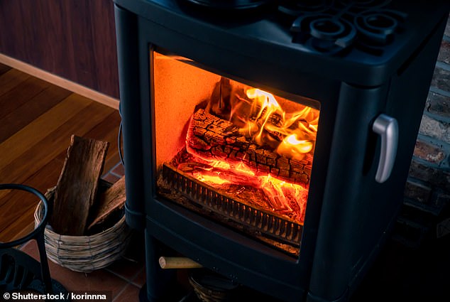 In 2022, a report by Sir Chris Whitty, then chief medical officer, found that even the most modern wood burners produce 450 times more toxic air pollution than gas central heating (File image)