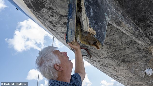 Scientists say that orcas are pulling off boat rudders as a form of play, and are not seeking to deliberately harm or scare off humans. Pictured: The rudder of a boat attacked by the Iberian orca