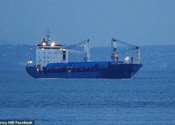 Russian cargo ship Sinegorsk left this month port of Arkhangelsk in north-western Russia
