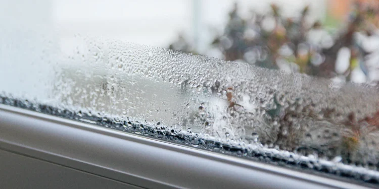 Say farewell to window condensation this winter thanks to $1 Walmart kitchen basic