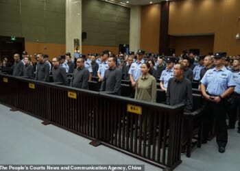 China has executed 11 people linked to Myanmar criminal gangs, including 'key members' of telecom scam operations (pictured, some of the crime family at their sentencing in October at the Wenzhou Intermediate People's Court in eastern China's Zhejiang Province)