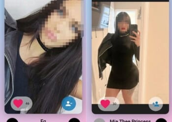 Dating profiles on titt4tatt where clients can chat with and book sessions with an escort