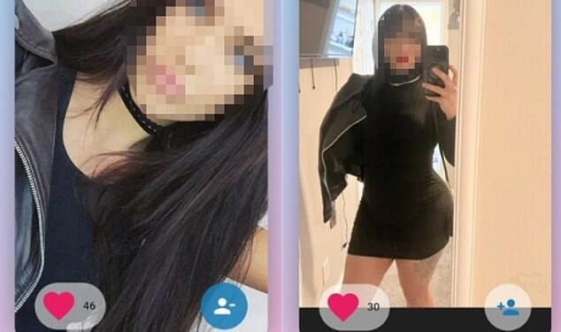 Dating profiles on titt4tatt where clients can chat with and book sessions with an escort