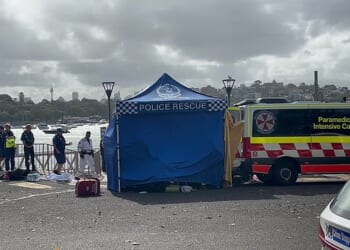 A 12-year-old boy suffered serious leg injuries in a shark attack on Thursday afternoon