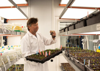 Southeastern Spain has a dry landscape. Sensor technology is bearing fruit.